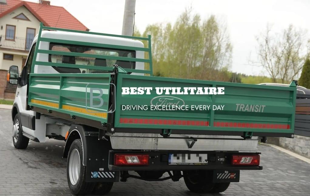 Camion-Benne Ford TRANSIT 2.2 TDCi tribenne – Image 18